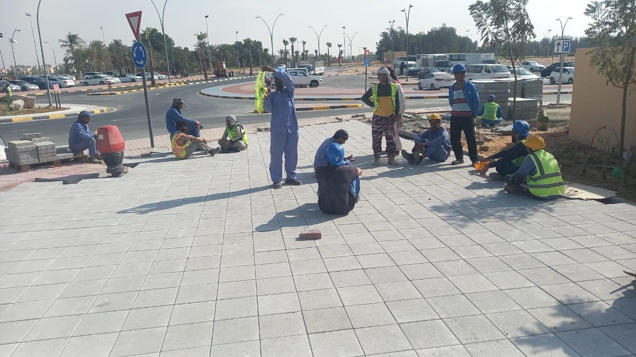 Landscaping with Al Bania 6